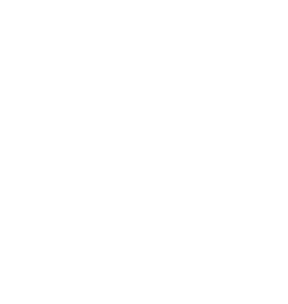 DS